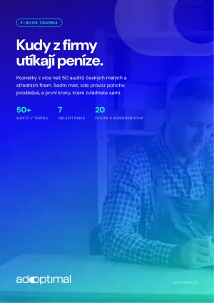 Portada del e-book Por dónde se escapa el dinero de una empresa